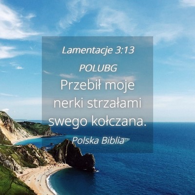 Picture 04 - Lamentacje 3:13 POLUBG - Przebił moje nerki strzałami swego - Bible Verse Picture