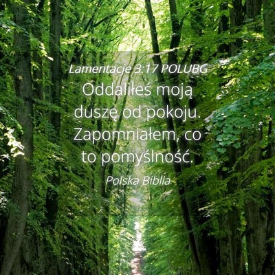 Picture 04 - Lamentacje 3:17 POLUBG - Oddaliłeś moją duszę od pokoju. Zapomniałem, - Bible Verse Picture