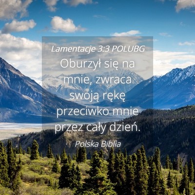 Picture 04 - Lamentacje 3:3 POLUBG - Oburzył się na mnie, zwraca swoją rękę - Bible Verse Picture