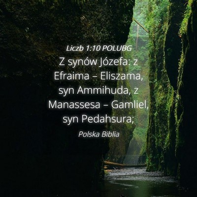 Picture 04 - Liczb 1:10 POLUBG - Z synów Józefa: z Efraima – Eliszama, syn - Bible Verse Picture