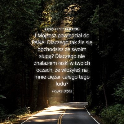 Picture 04 - Liczb 11:11 POLUBG - I Mojżesz powiedział do PANA: Dlaczego tak źle - Bible Verse Picture