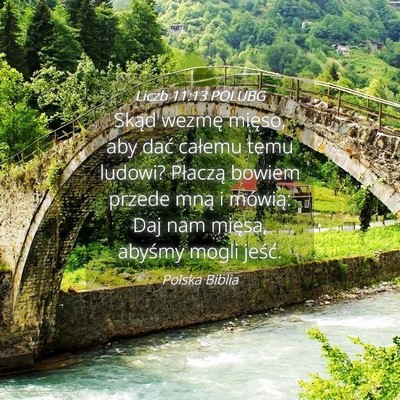Picture 04 - Liczb 11:13 POLUBG - Skąd wezmę mięso, aby dać całemu temu - Bible Verse Picture