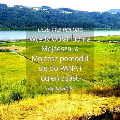 Picture 04 - Liczb 11:2 POLUBG - Wtedy wołał lud na Mojżesza, a Mojżesz - Bible Verse Picture