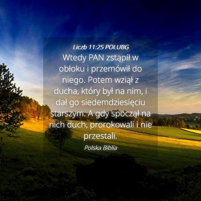 Picture 04 - Liczb 11:25 POLUBG - Wtedy PAN zstąpił w obłoku i przemówił do - Bible Verse Picture