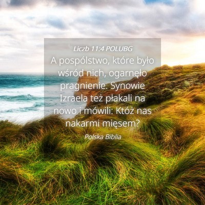 Picture 04 - Liczb 11:4 POLUBG - A pospólstwo, które było wśród nich, - Bible Verse Picture