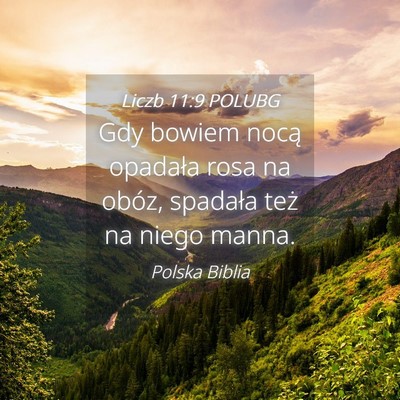 Picture 04 - Liczb 11:9 POLUBG - Gdy bowiem nocą opadała rosa na obóz, spadała - Bible Verse Picture