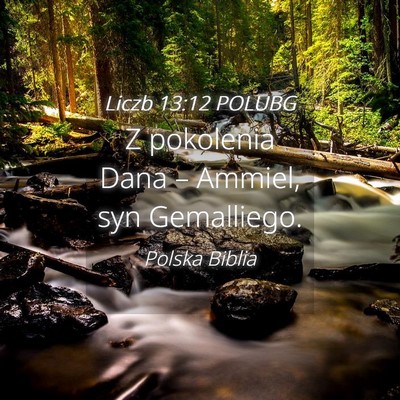 Picture 04 - Liczb 13:12 POLUBG - Z pokolenia Dana – Ammiel, syn - Bible Verse Picture