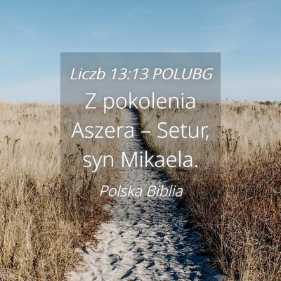 Picture 04 - Liczb 13:13 POLUBG - Z pokolenia Aszera – Setur, syn - Bible Verse Picture