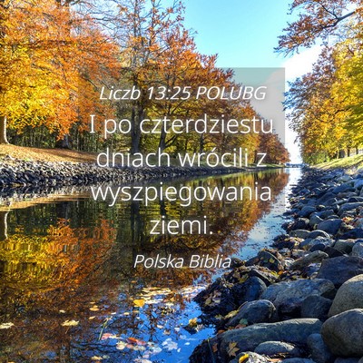 Picture 04 - Liczb 13:25 POLUBG - I po czterdziestu dniach wrócili z - Bible Verse Picture