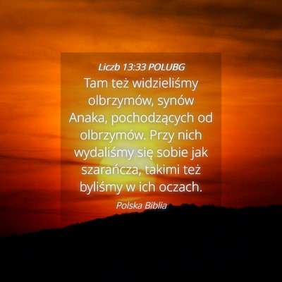 Picture 04 - Liczb 13:33 POLUBG - Tam też widzieliśmy olbrzymów, synów Anaka, - Bible Verse Picture