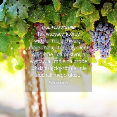 Picture 04 - Liczb 14:22 POLUBG - Tak wszyscy, którzy widzieli moją chwałę i - Bible Verse Picture