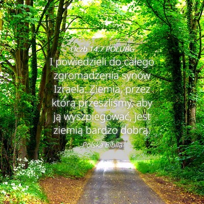 Picture 04 - Liczb 14:7 POLUBG - I powiedzieli do całego zgromadzenia synów - Bible Verse Picture