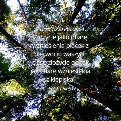 Picture 04 - Liczb 15:20 POLUBG - Złożycie jako ofiarę wzniesienia placek z - Bible Verse Picture