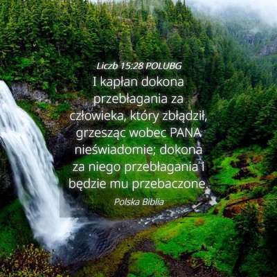 Picture 04 - Liczb 15:28 POLUBG - I kapłan dokona przebłagania za człowieka, - Bible Verse Picture