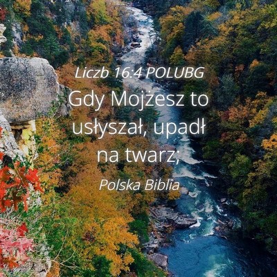 Picture 04 - Liczb 16:4 POLUBG - Gdy Mojżesz to usłyszał, upadł na - Bible Verse Picture