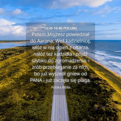 Picture 04 - Liczb 16:46 POLUBG - Potem Mojżesz powiedział do Aarona: Weź - Bible Verse Picture