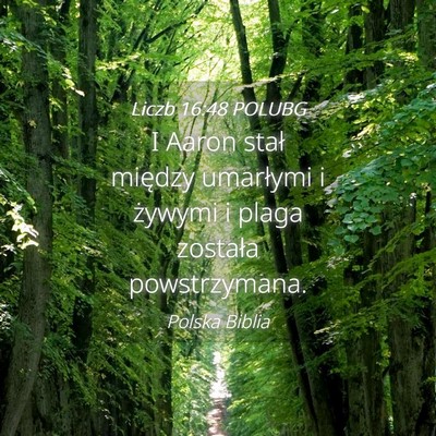 Picture 04 - Liczb 16:48 POLUBG - I Aaron stał między umarłymi i żywymi i plaga - Bible Verse Picture