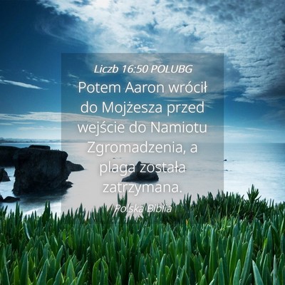 Picture 04 - Liczb 16:50 POLUBG - Potem Aaron wrócił do Mojżesza przed wejście - Bible Verse Picture