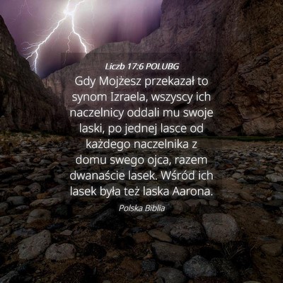 Picture 04 - Liczb 17:6 POLUBG - Gdy Mojżesz przekazał to synom Izraela, wszyscy - Bible Verse Picture