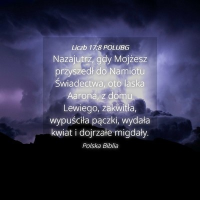 Picture 04 - Liczb 17:8 POLUBG - Nazajutrz, gdy Mojżesz przyszedł do Namiotu - Bible Verse Picture