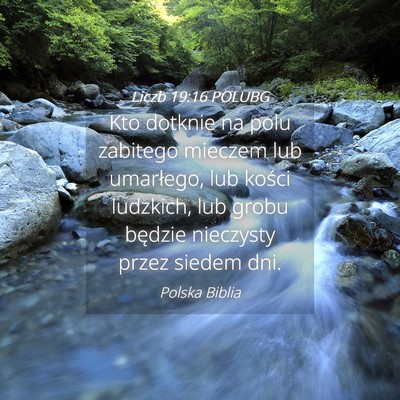 Picture 04 - Liczb 19:16 POLUBG - Kto dotknie na polu zabitego mieczem lub - Bible Verse Picture