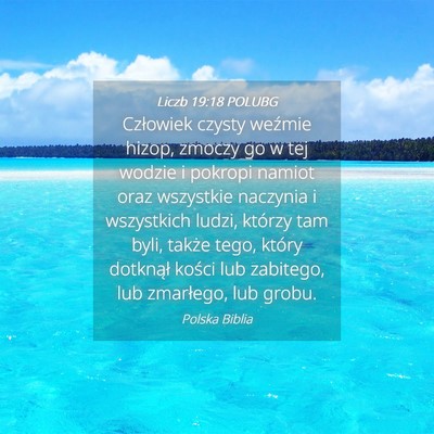 Picture 04 - Liczb 19:18 POLUBG - Człowiek czysty weźmie hizop, zmoczy go w tej - Bible Verse Picture
