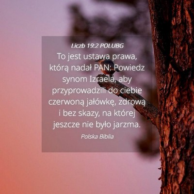 Picture 04 - Liczb 19:2 POLUBG - To jest ustawa prawa, którą nadał PAN: Powiedz - Bible Verse Picture