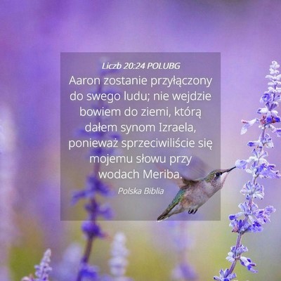 Picture 04 - Liczb 20:24 POLUBG - Aaron zostanie przyłączony do swego ludu; nie - Bible Verse Picture