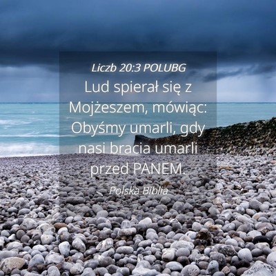 Picture 04 - Liczb 20:3 POLUBG - Lud spierał się z Mojżeszem, mówiąc: Obyśmy - Bible Verse Picture