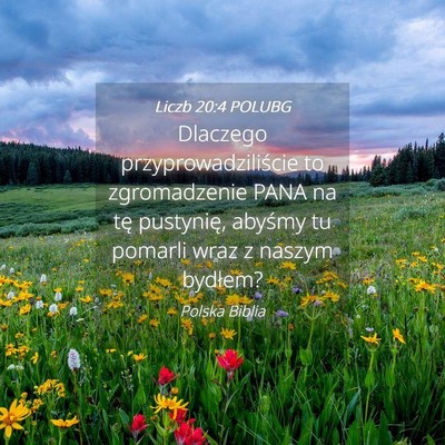 Picture 04 - Liczb 20:4 POLUBG - Dlaczego przyprowadziliście to zgromadzenie PANA - Bible Verse Picture