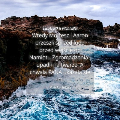 Picture 04 - Liczb 20:6 POLUBG - Wtedy Mojżesz i Aaron przeszli sprzed ludu przed - Bible Verse Picture