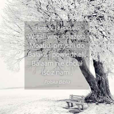 Picture 04 - Liczb 22:14 POLUBG - Wstali więc książęta Moabu, przyszli do - Bible Verse Picture