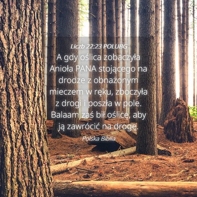 Picture 04 - Liczb 22:23 POLUBG - A gdy oślica zobaczyła Anioła PANA stojącego - Bible Verse Picture
