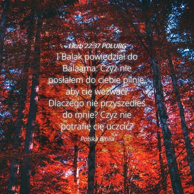 Picture 04 - Liczb 22:37 POLUBG - I Balak powiedział do Balaama: Czyż nie - Bible Verse Picture