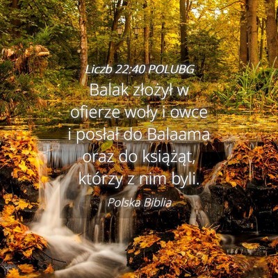 Picture 04 - Liczb 22:40 POLUBG - Balak złożył w ofierze woły i owce i posłał - Bible Verse Picture