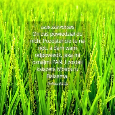 Picture 04 - Liczb 22:8 POLUBG - On zaś powiedział do nich: Pozostańcie tu na - Bible Verse Picture