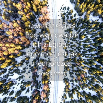Picture 04 - Liczb 23:22 POLUBG - Bóg wyprowadził ich z Egiptu, jego moc jest jak - Bible Verse Picture