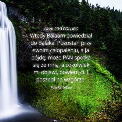 Picture 04 - Liczb 23:3 POLUBG - Wtedy Balaam powiedział do Balaka: Pozostań - Bible Verse Picture