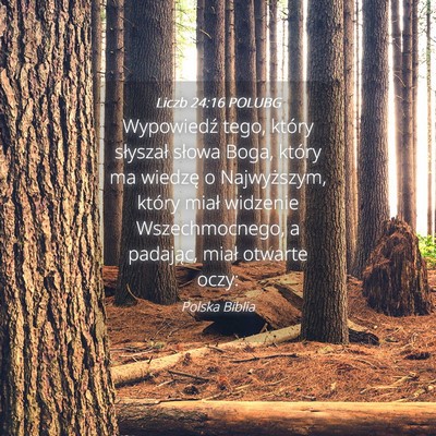 Picture 04 - Liczb 24:16 POLUBG - Wypowiedź tego, który słyszał słowa Boga, - Bible Verse Picture