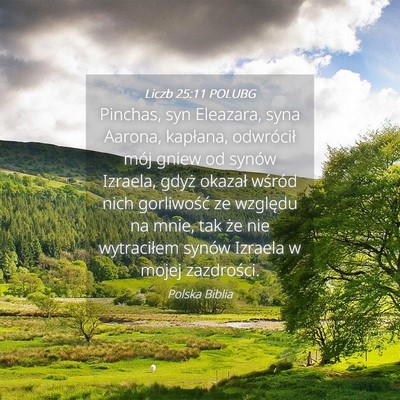 Picture 04 - Liczb 25:11 POLUBG - Pinchas, syn Eleazara, syna Aarona, kapłana, - Bible Verse Picture