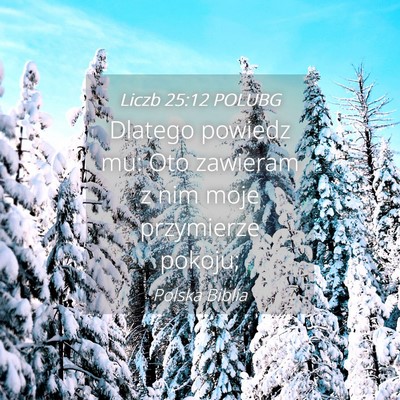 Picture 04 - Liczb 25:12 POLUBG - Dlatego powiedz mu: Oto zawieram z nim moje - Bible Verse Picture