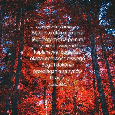 Picture 04 - Liczb 25:13 POLUBG - Będzie to dla niego i dla jego potomstwa po nim - Bible Verse Picture