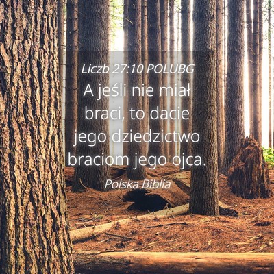 Picture 04 - Liczb 27:10 POLUBG - A jeśli nie miał braci, to dacie jego - Bible Verse Picture