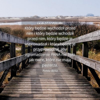 Picture 04 - Liczb 27:17 POLUBG - Który będzie wychodził przed nim i który - Bible Verse Picture