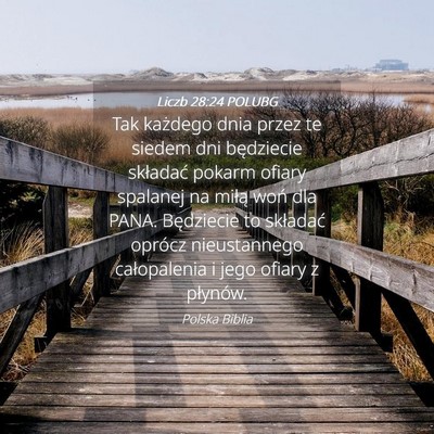 Picture 04 - Liczb 28:24 POLUBG - Tak każdego dnia przez te siedem dni będziecie - Bible Verse Picture