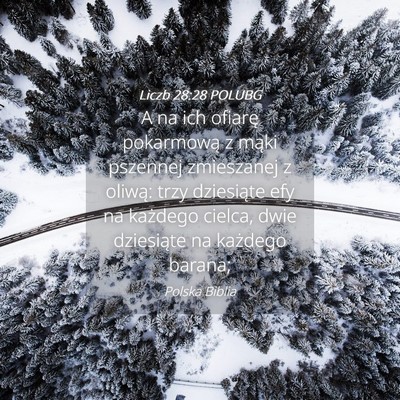 Picture 04 - Liczb 28:28 POLUBG - A na ich ofiarę pokarmową z mąki pszennej - Bible Verse Picture