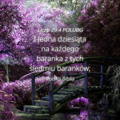 Picture 04 - Liczb 29:4 POLUBG - I jedna dziesiąta na każdego baranka z tych - Bible Verse Picture