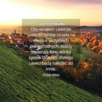 Picture 04 - Liczb 3:12 POLUBG - Oto wziąłem Lewitów spośród synów Izraela - Bible Verse Picture
