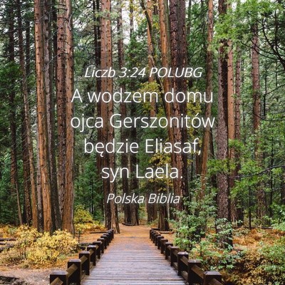 Picture 04 - Liczb 3:24 POLUBG - A wodzem domu ojca Gerszonitów będzie Eliasaf, - Bible Verse Picture