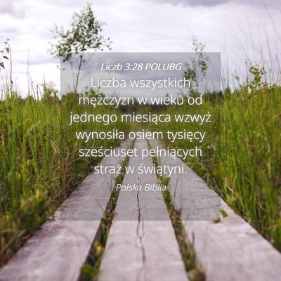 Picture 04 - Liczb 3:28 POLUBG - Liczba wszystkich mężczyzn w wieku od jednego - Bible Verse Picture